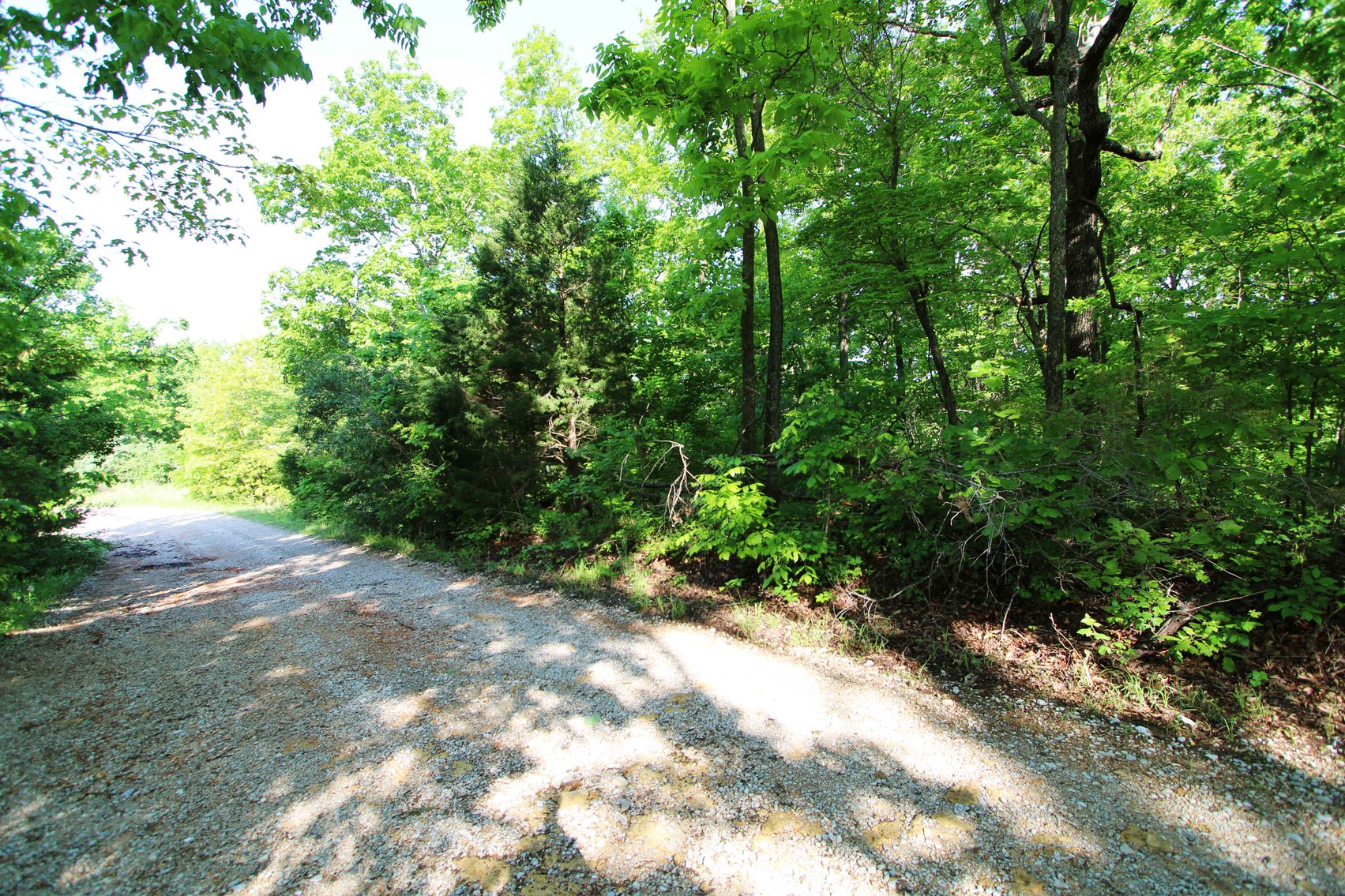 Image for Lot 123 & 124, County Road 816, Perryville, MO 63775, MLS# 25030568