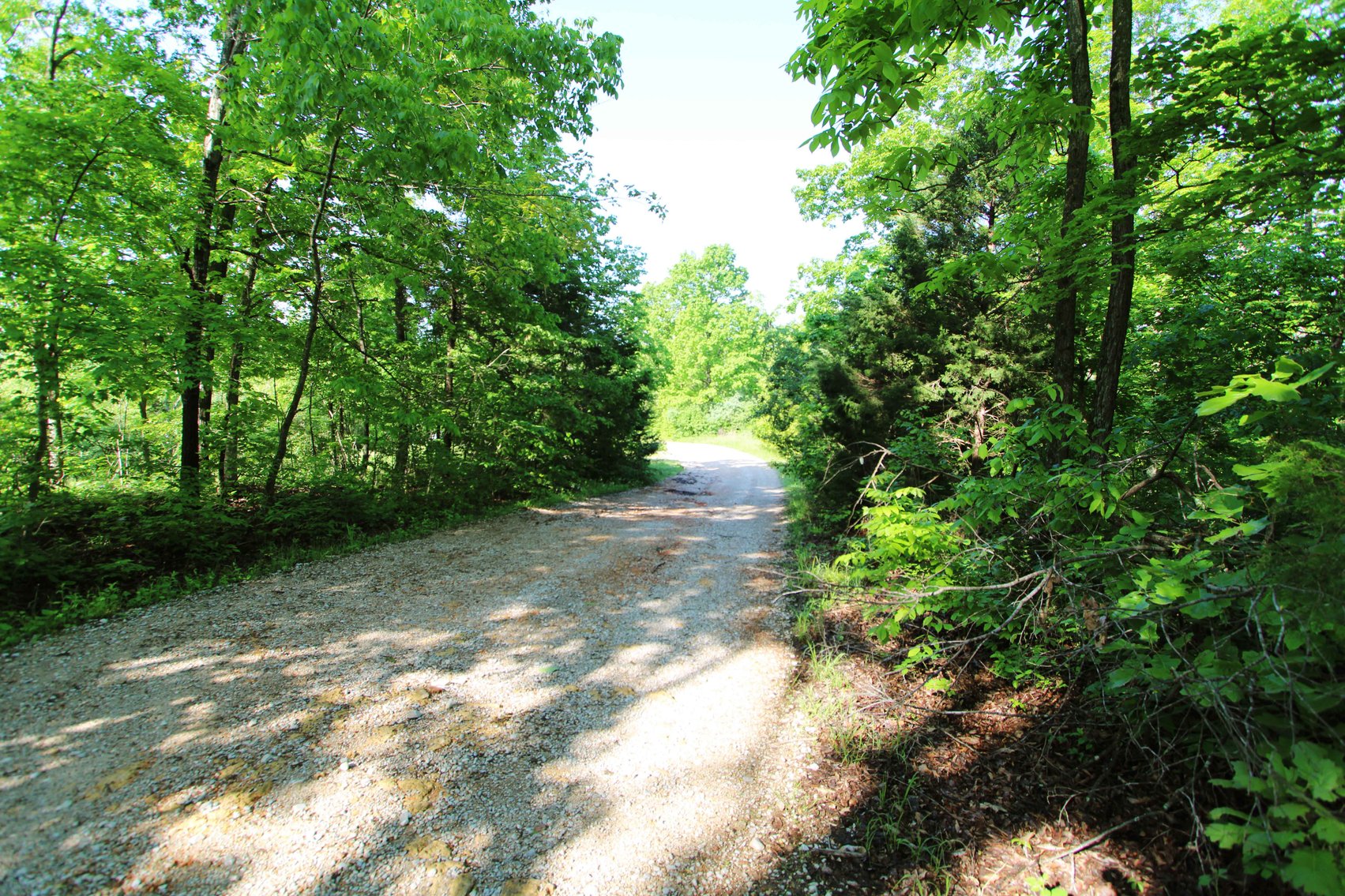Image for Lot 123 & 124, County Road 816, Perryville, MO 63775, MLS# 25030568