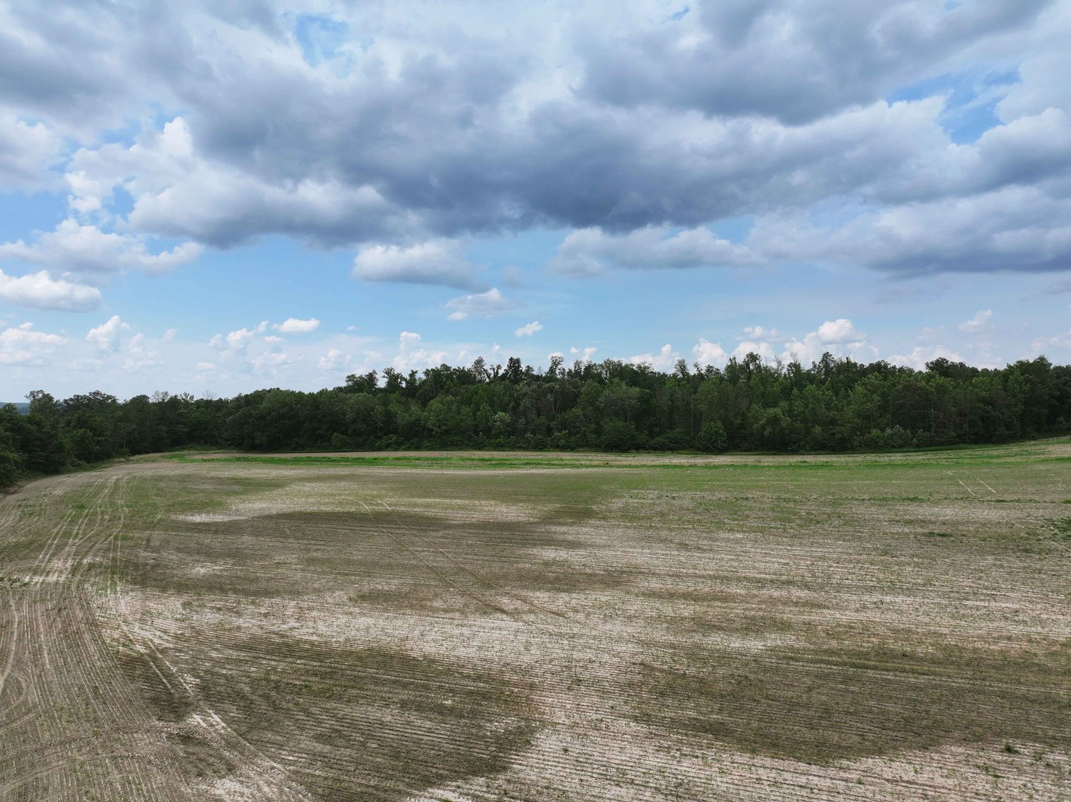 Image for County Road 259 Advance MO 63730, MLS 25045575