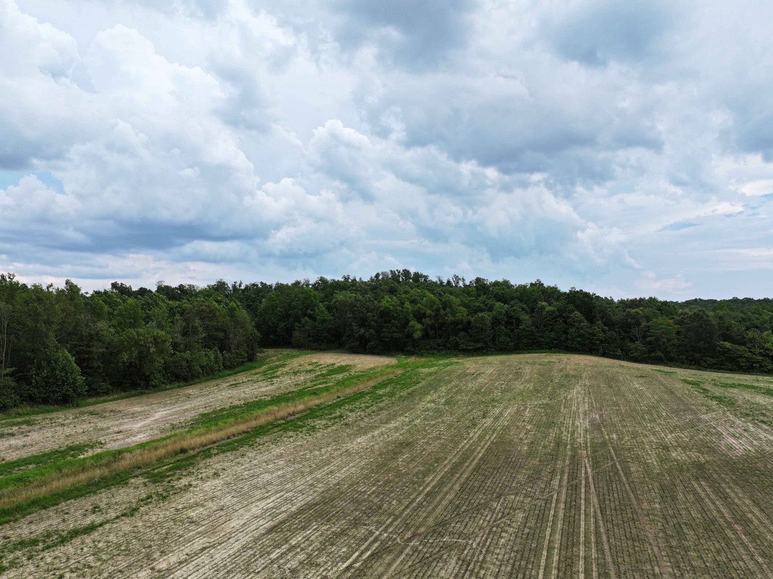 Image for County Road 259 Advance MO 63730, MLS 25045575