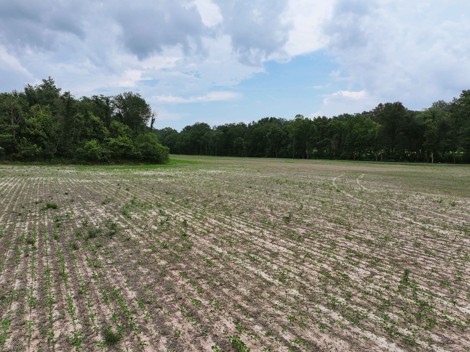 Image for County Road 259 Advance MO 63730, MLS 25045575