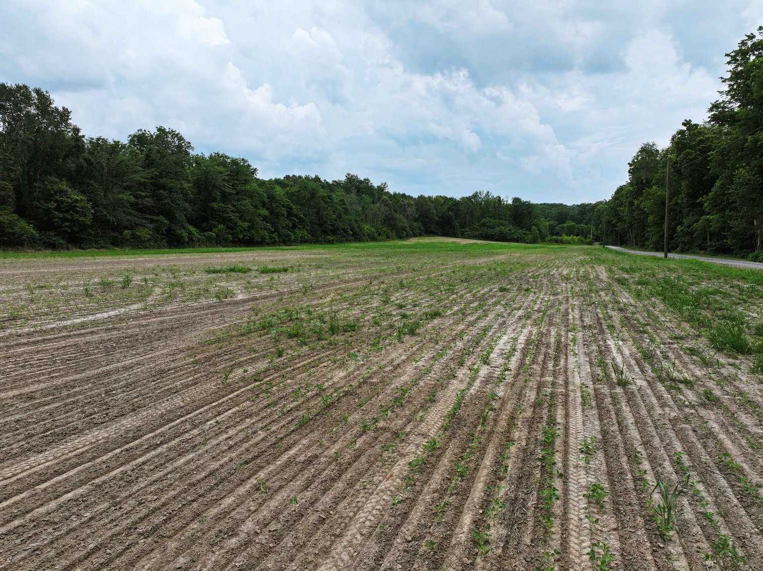 Image for County Road 259 Advance MO 63730, MLS 25045575