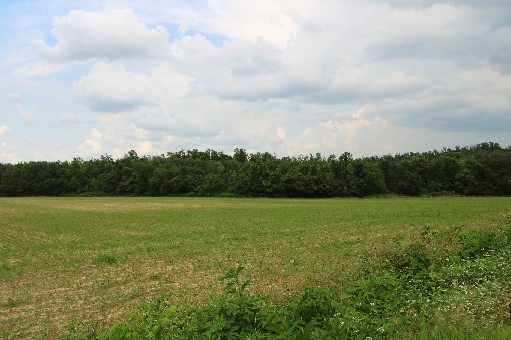 Image for County Road 259 Advance MO 63730, MLS 25045575