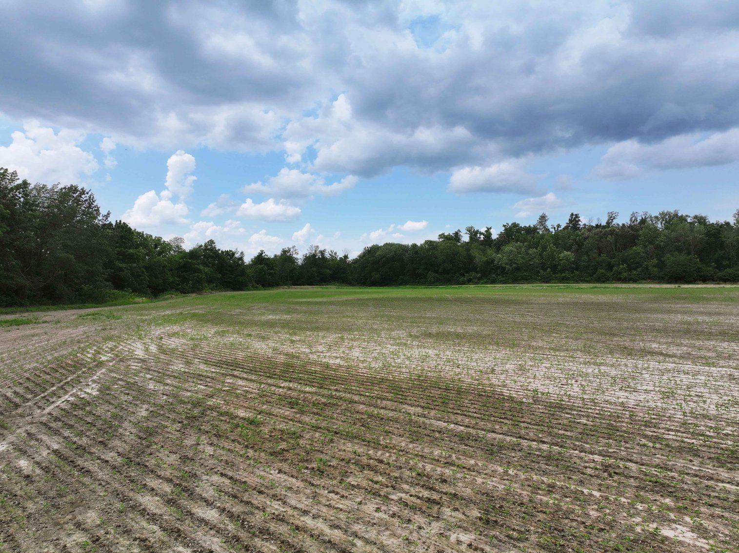 Image for County Road 259 Advance MO 63730, MLS 25045575