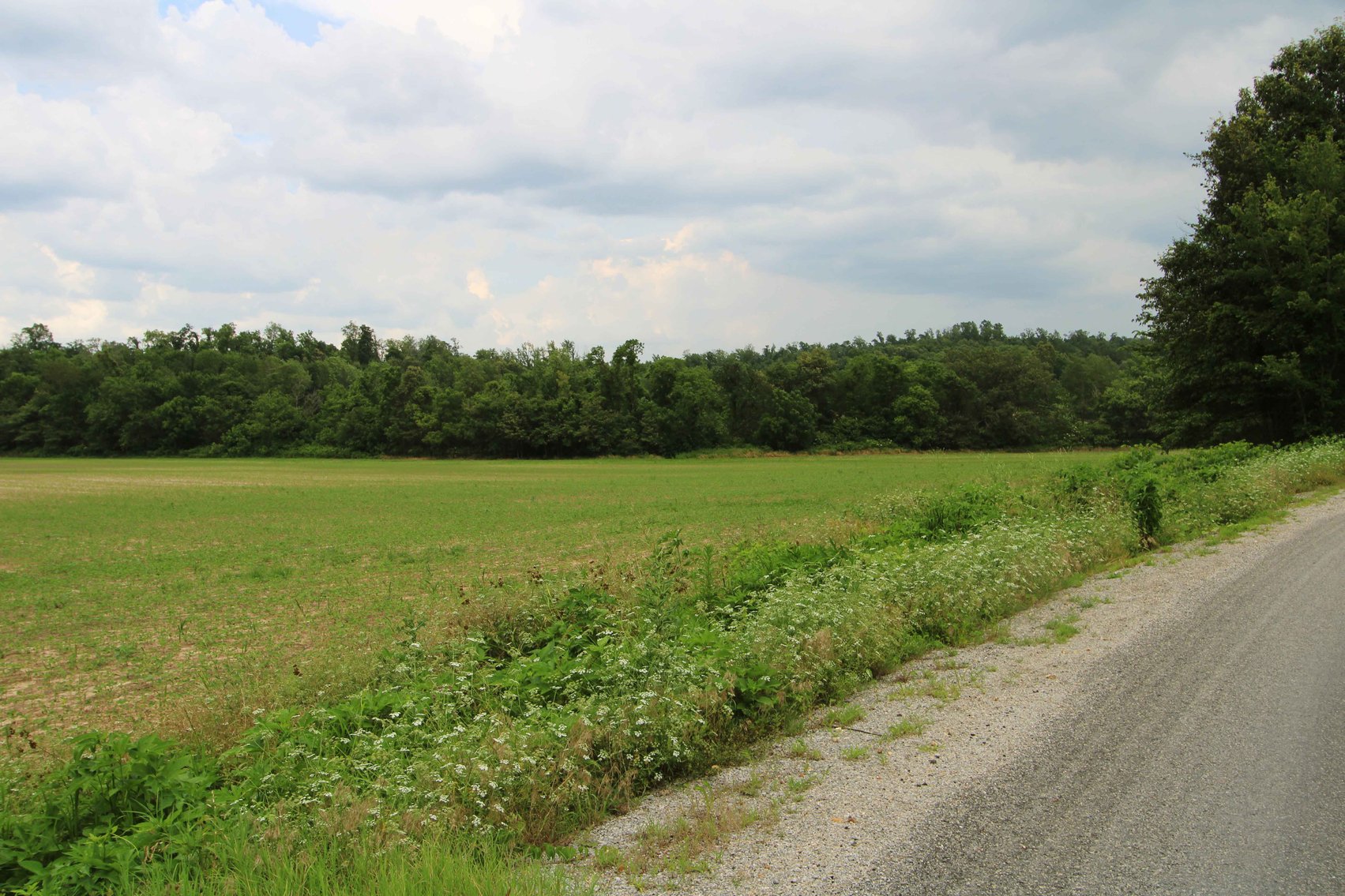 Image for County Road 259 Advance MO 63730, MLS 25045575