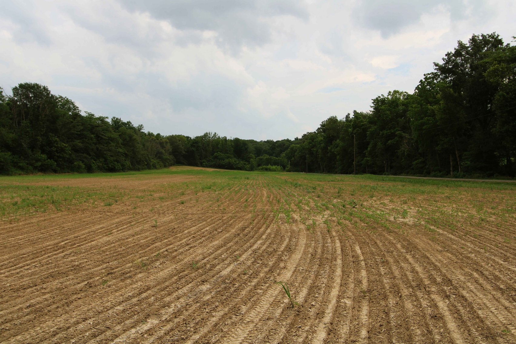 Image for County Road 259 Advance MO 63730, MLS 25045575