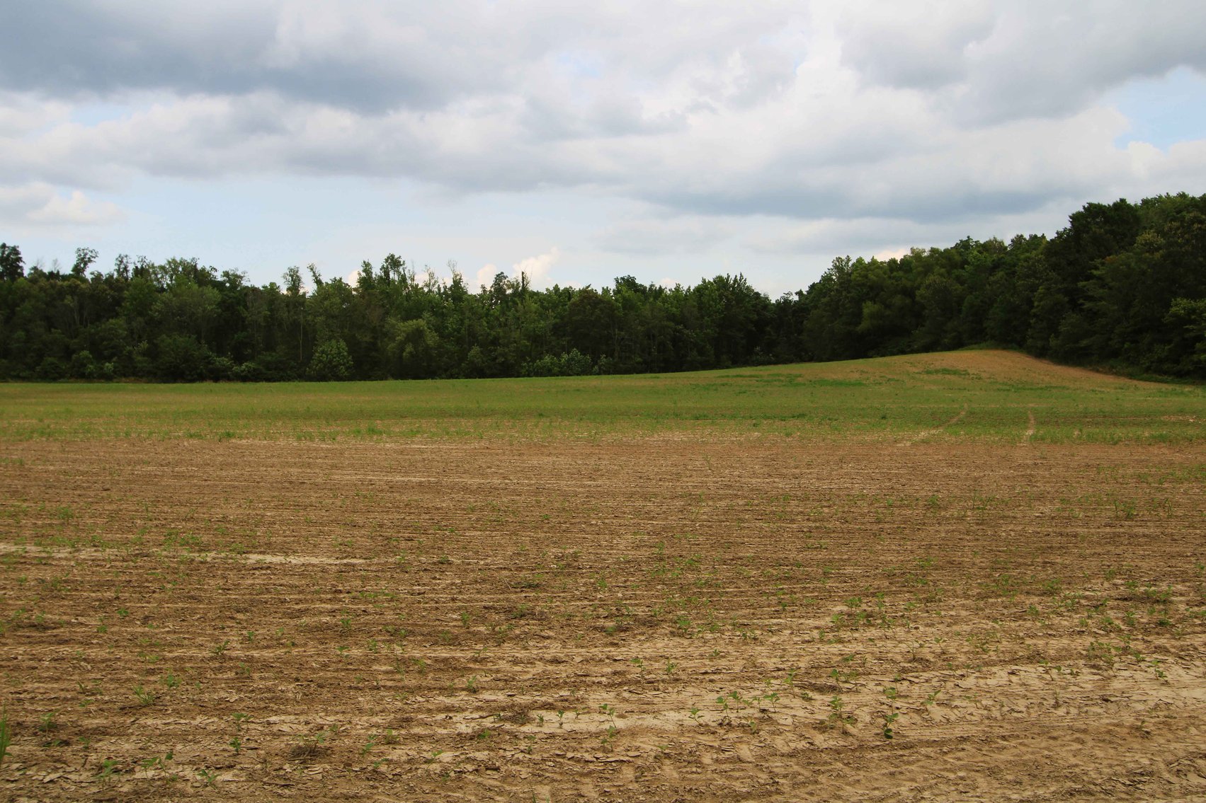 Image for County Road 259 Advance MO 63730, MLS 25045575