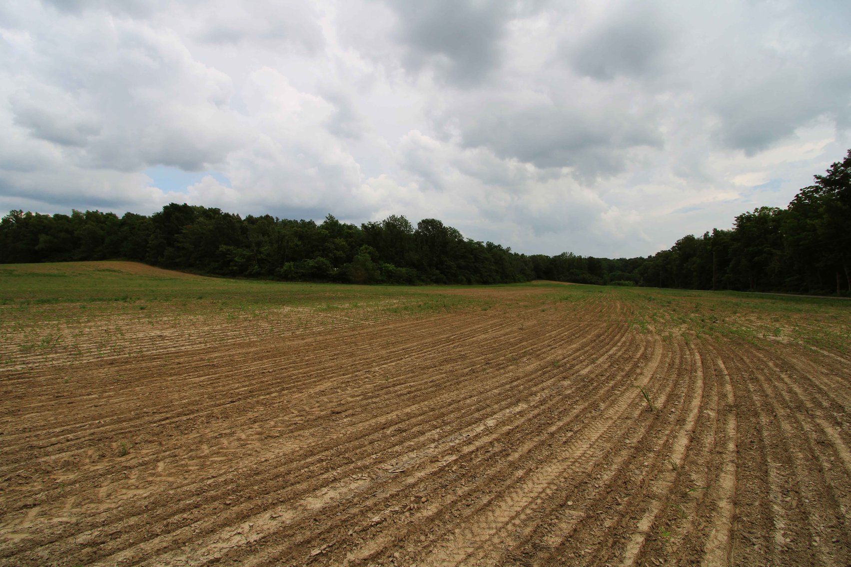 Image for County Road 259 Advance MO 63730, MLS 25045575