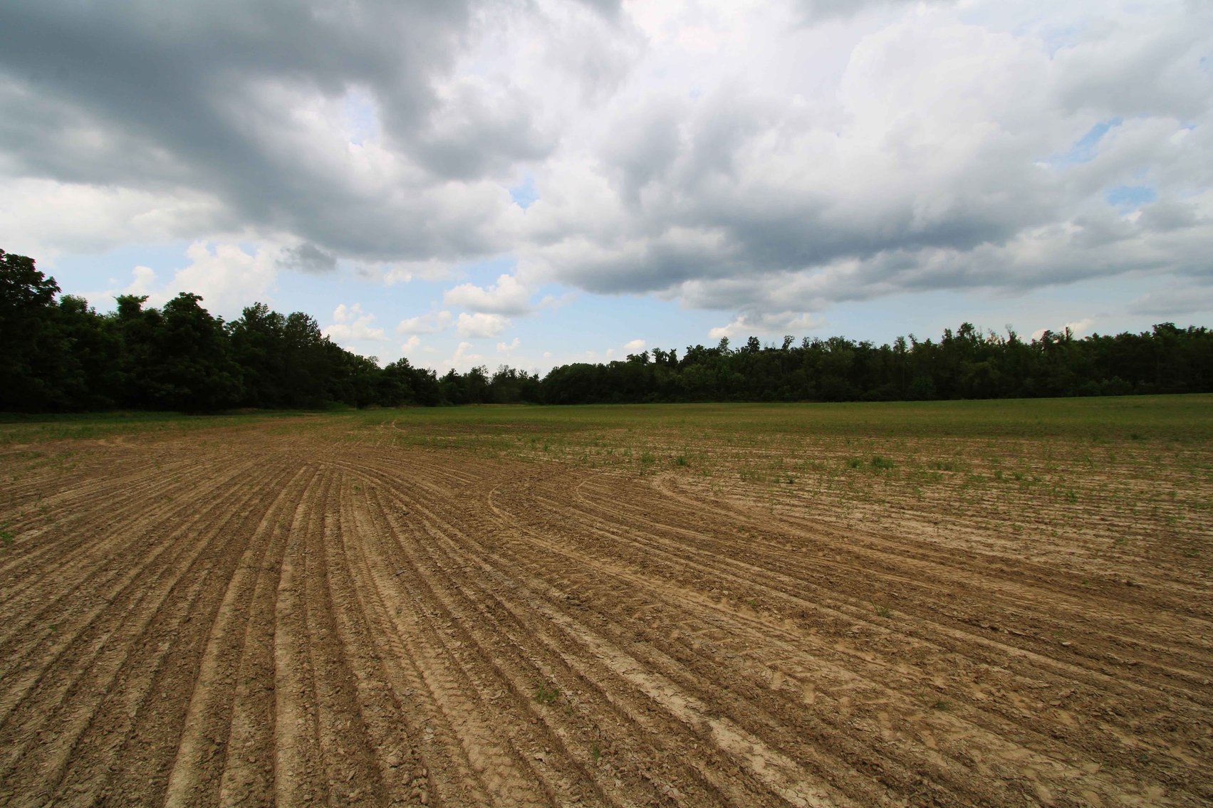 Image for County Road 259 Advance MO 63730, MLS 25045575