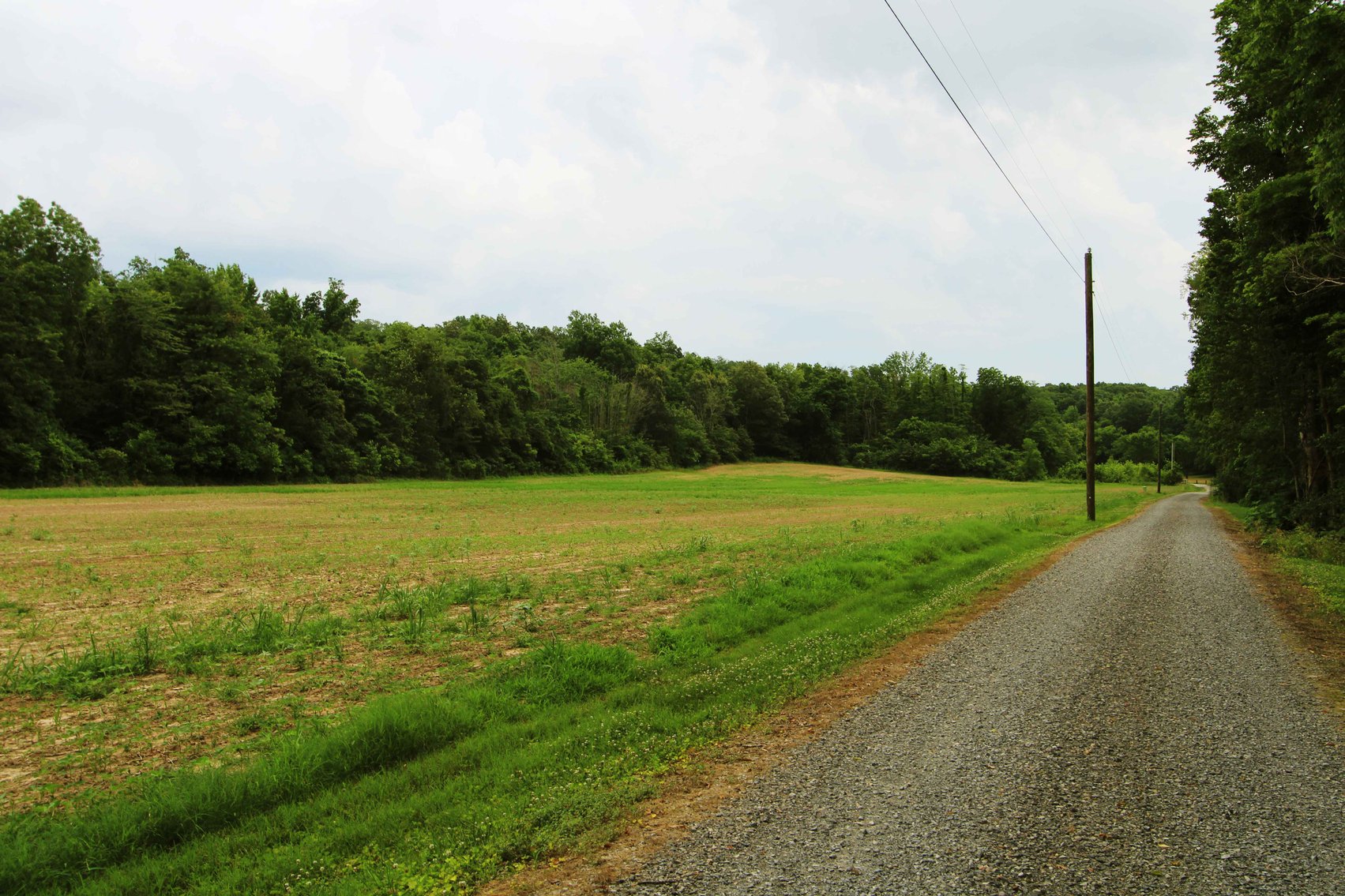 Image for County Road 259 Advance MO 63730, MLS 25045575