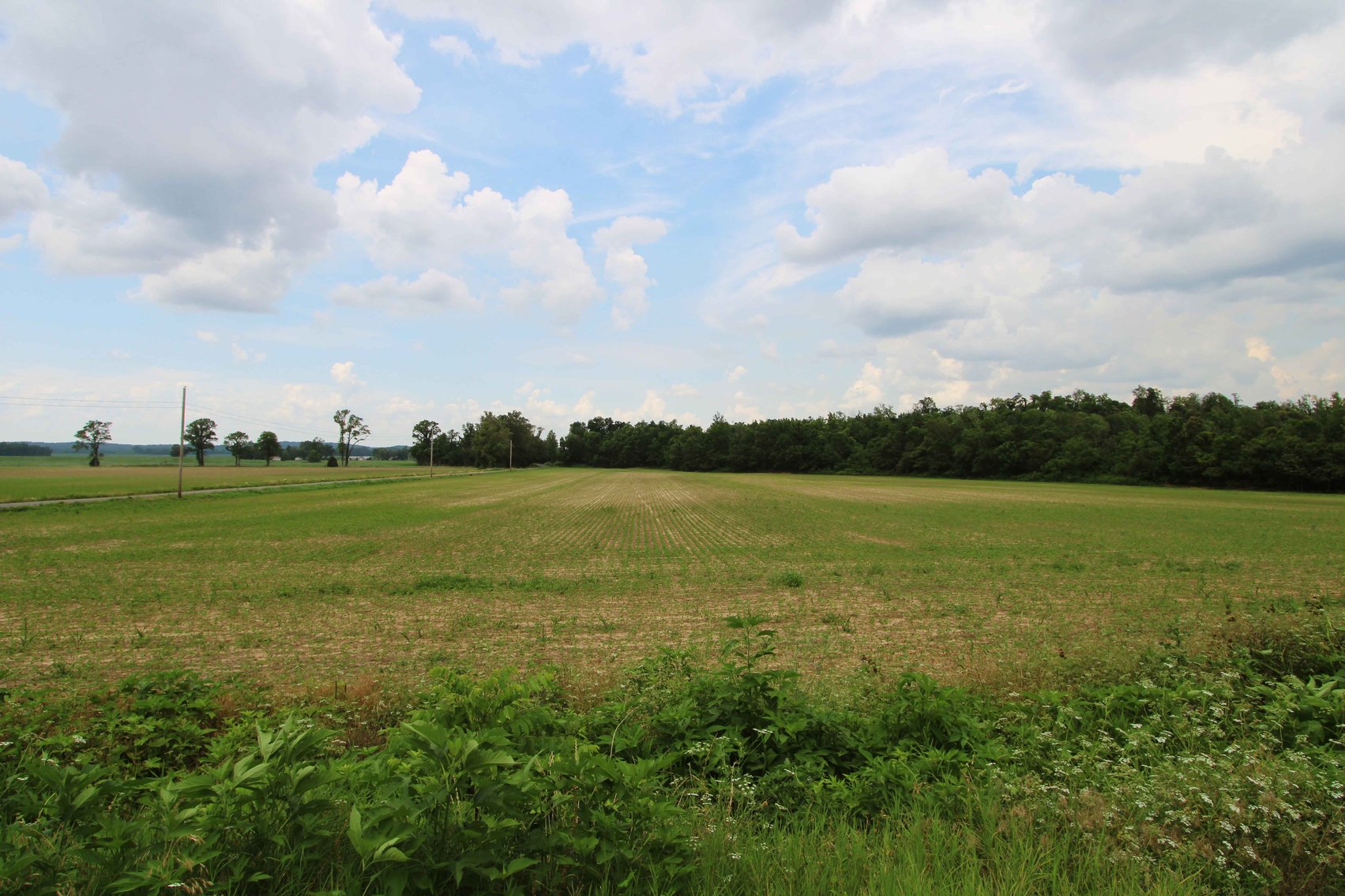 Image for County Road 259 Advance MO 63730, MLS 25045575