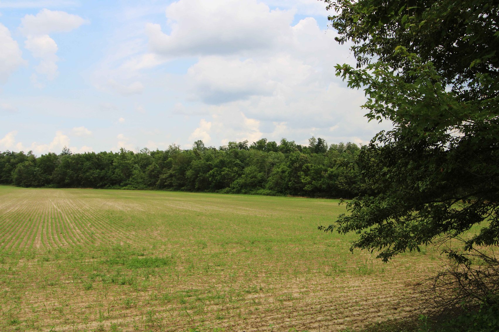 Image for County Road 259 Advance MO 63730, MLS 25045575