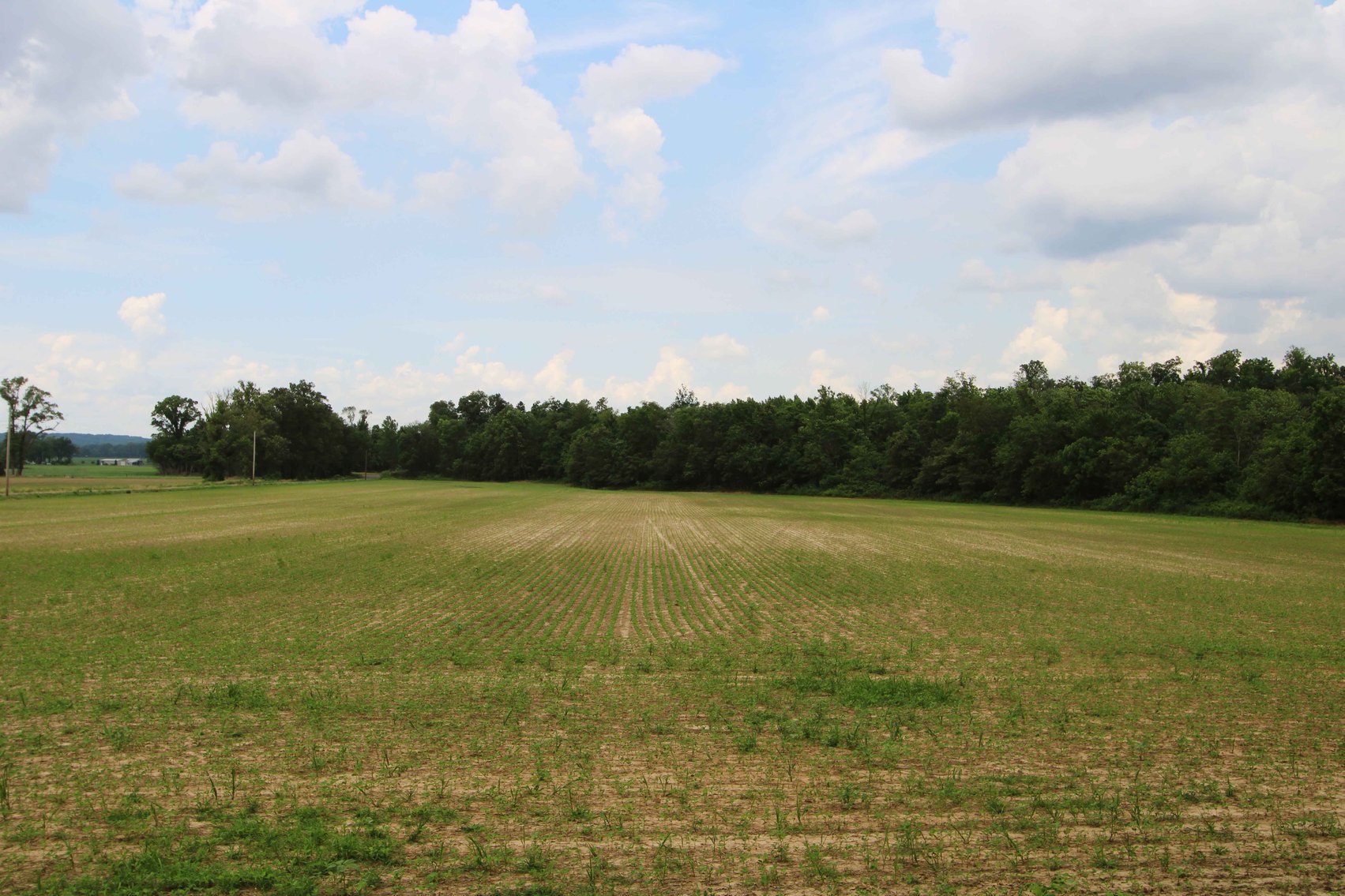 Image for County Road 259 Advance MO 63730, MLS 25045575