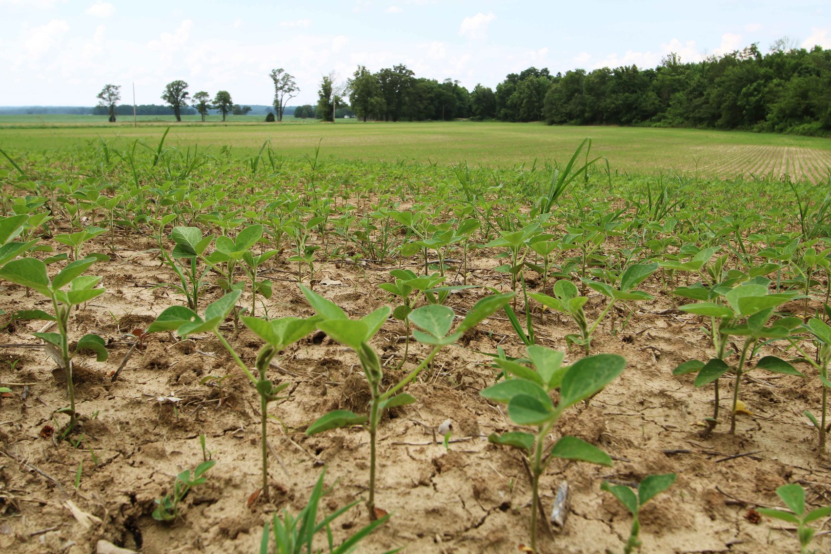 Image for County Road 259 Advance MO 63730, MLS 25045575