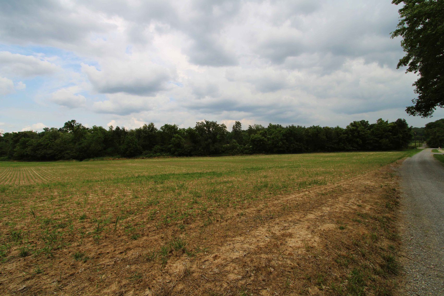 Image for County Road 259 Advance MO 63730, MLS 25045575