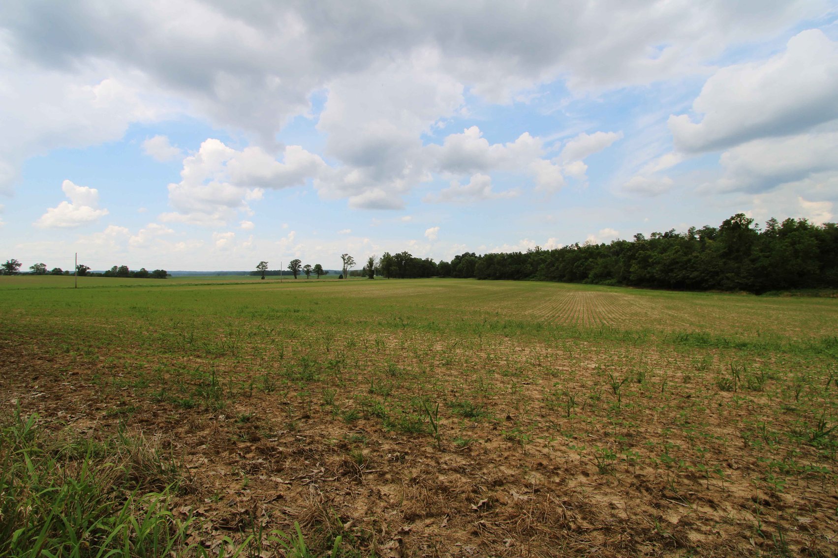 Image for County Road 259 Advance MO 63730, MLS 25045575