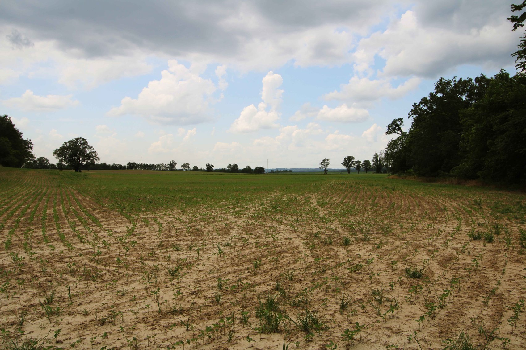 Image for County Road 259 Advance MO 63730, MLS 25045575