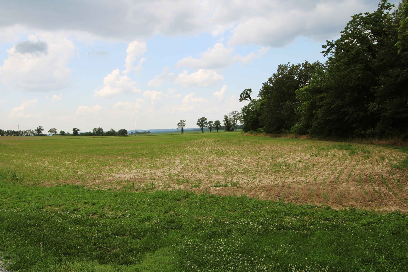 Image for County Road 259 Advance MO 63730, MLS 25045575