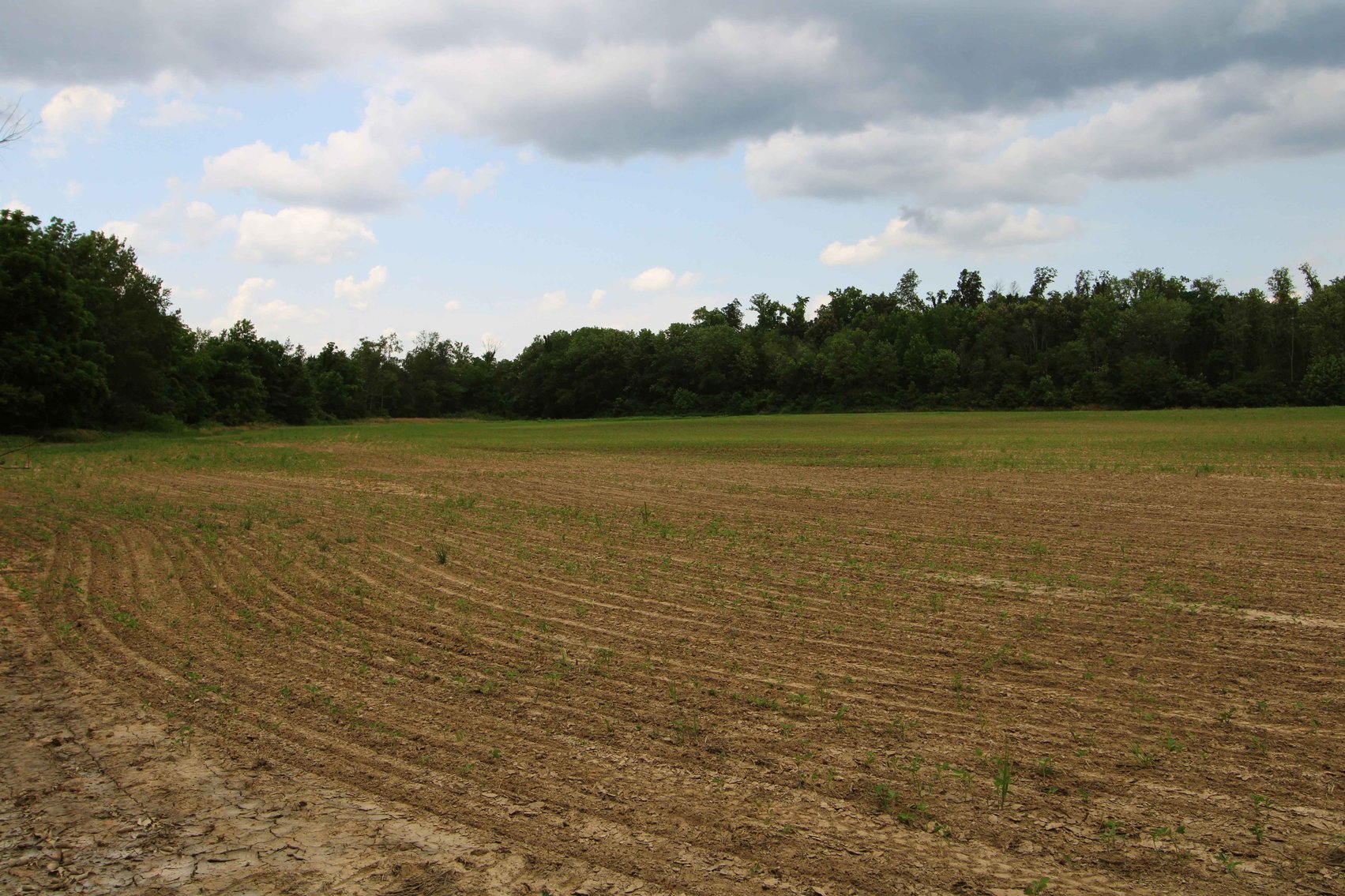 Image for County Road 259 Advance MO 63730, MLS 25045575