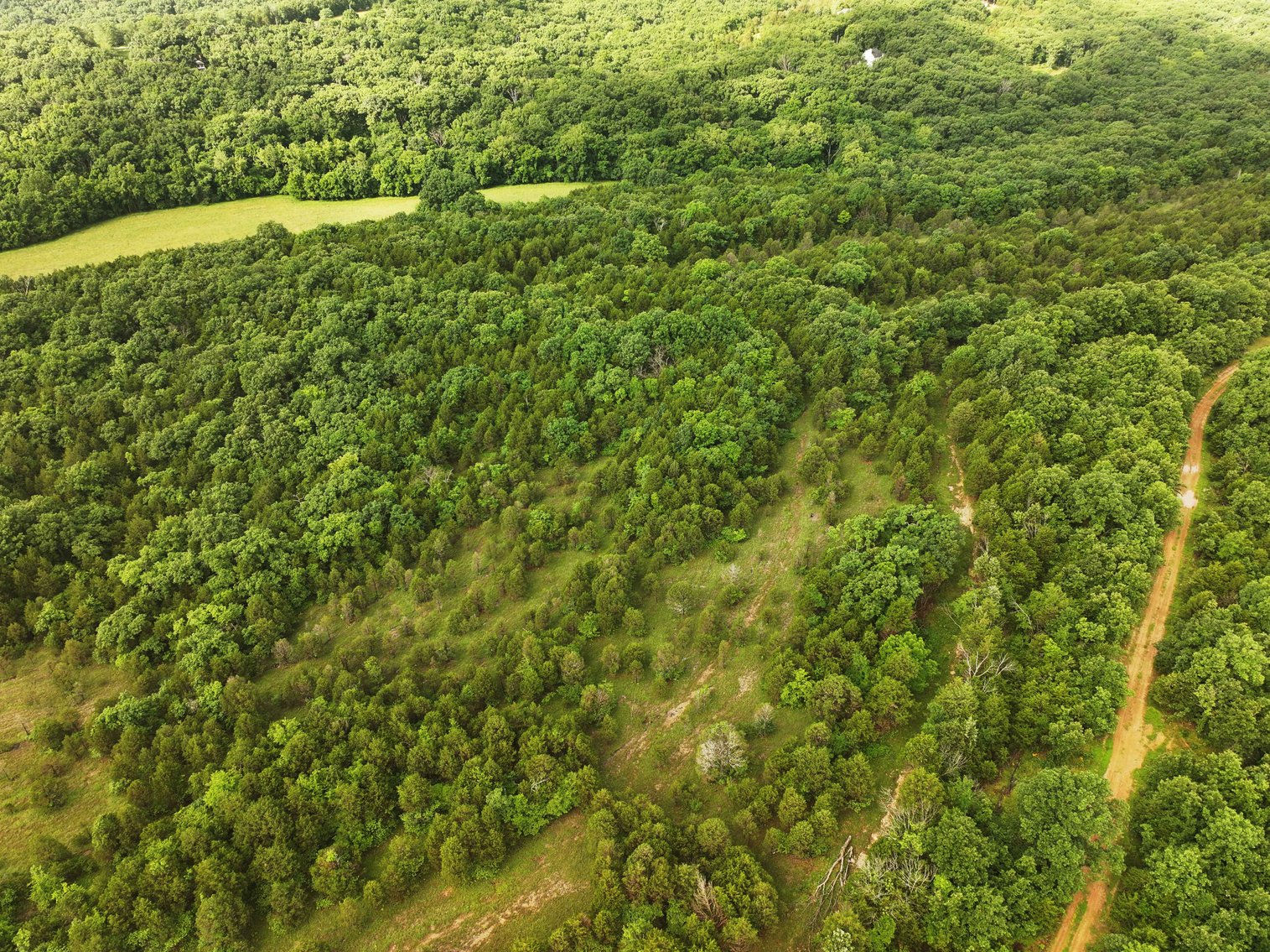 Image for 30.52 Acres, Tract 1 Plattin Rd Festus, MO 63028, MLS#25048992