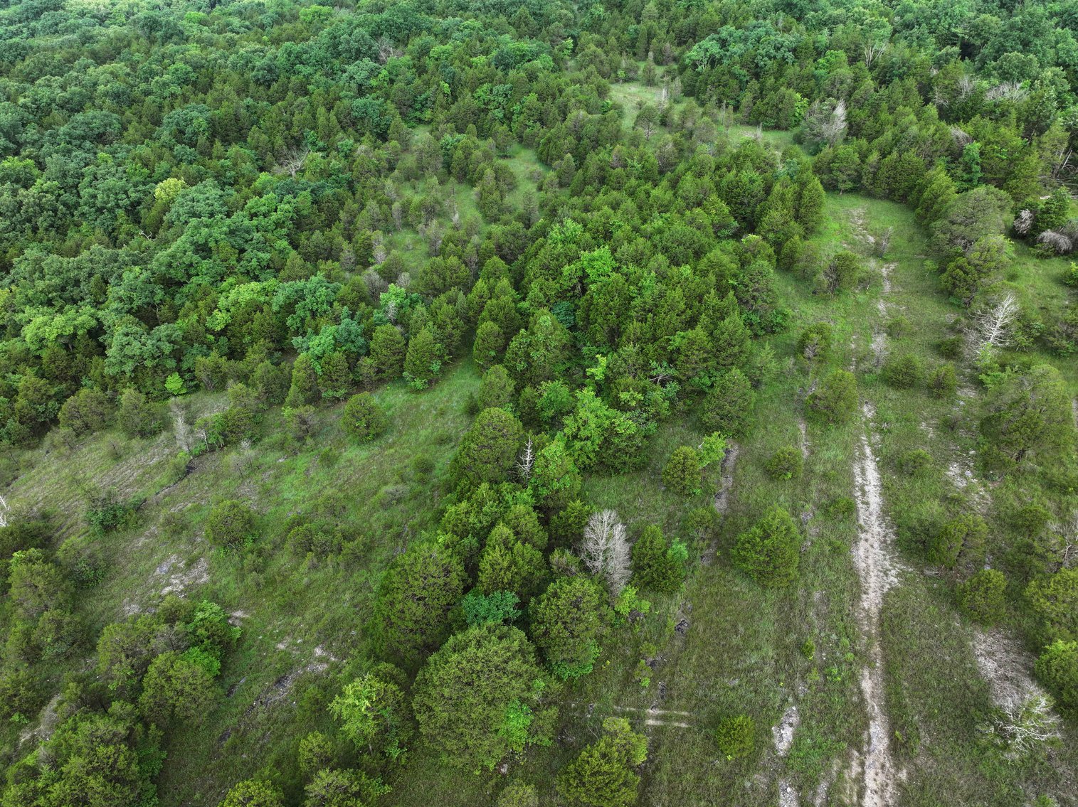 Image for 30.52 Acres, Tract 1 Plattin Rd Festus, MO 63028, MLS#25048992