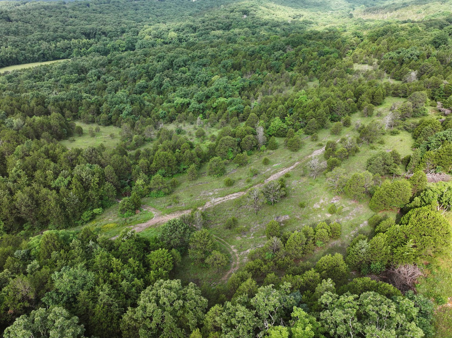 Image for 30.52 Acres, Tract 1 Plattin Rd Festus, MO 63028, MLS#25048992