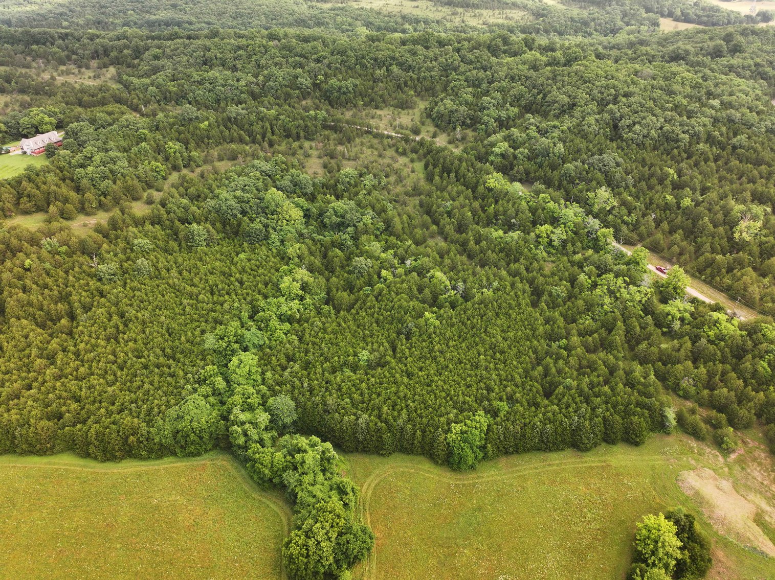 Image for 30.52 Acres, Tract 1 Plattin Rd Festus, MO 63028, MLS#25048992