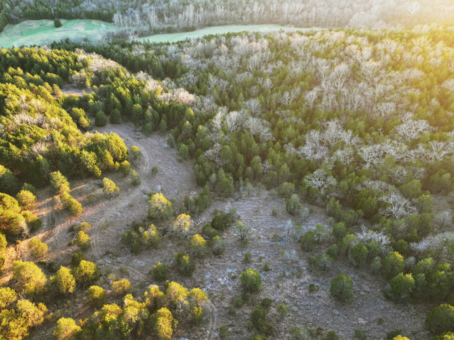 Image for 30.52 Acres, Tract 1 Plattin Rd Festus, MO 63028, MLS#25048992