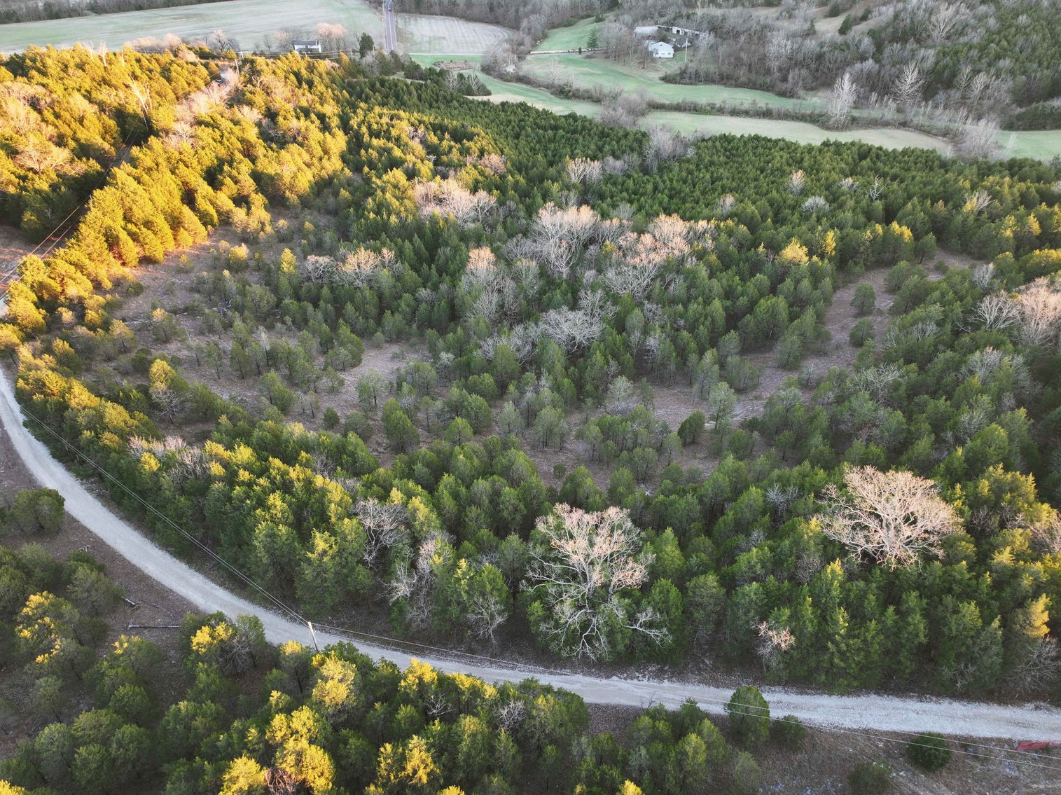 Image for 30.52 Acres, Tract 1 Plattin Rd Festus, MO 63028, MLS#25048992