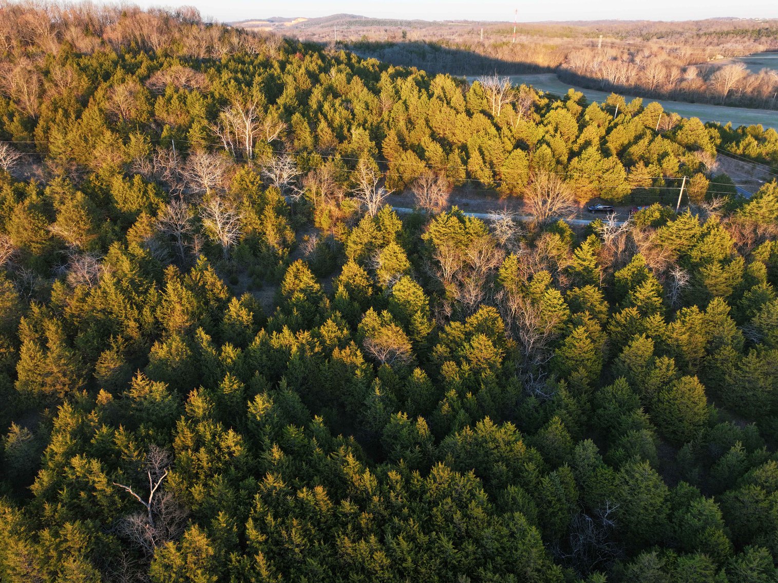 Image for 30.52 Acres, Tract 1 Plattin Rd Festus, MO 63028, MLS#25048992