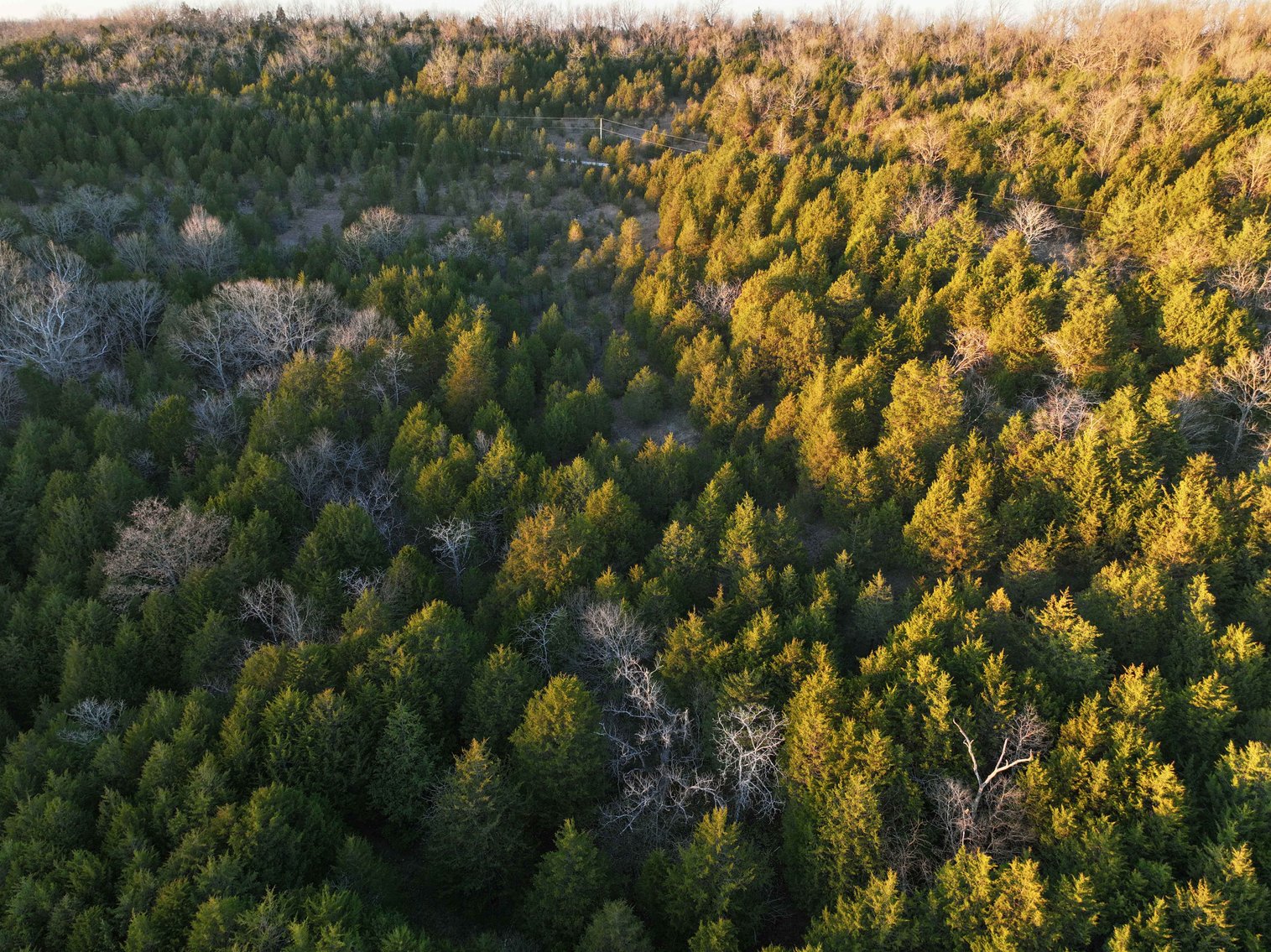 Image for 30.52 Acres, Tract 1 Plattin Rd Festus, MO 63028, MLS#25048992