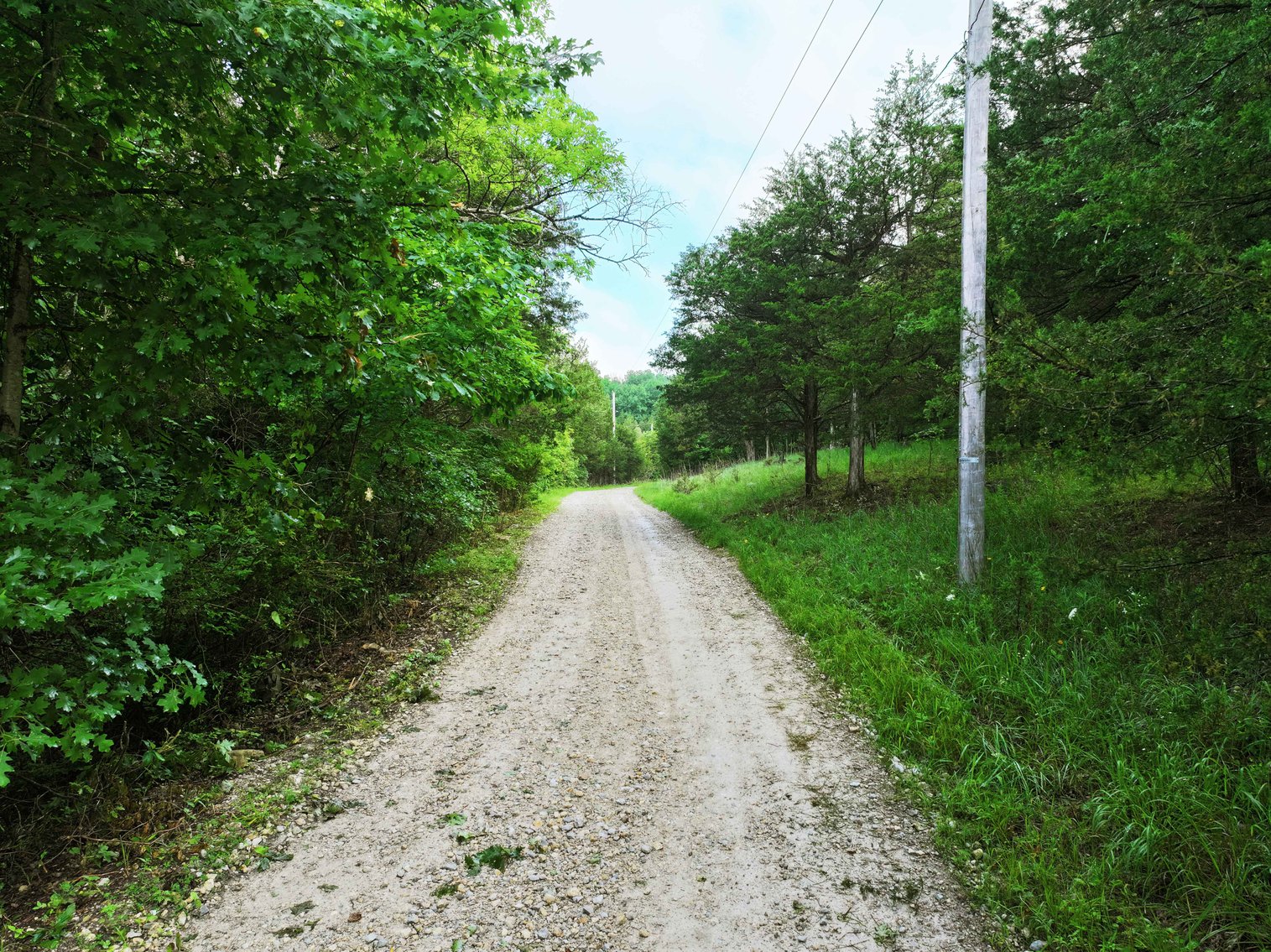 Image for 30.52 Acres, Tract 1 Plattin Rd Festus, MO 63028, MLS#25048992