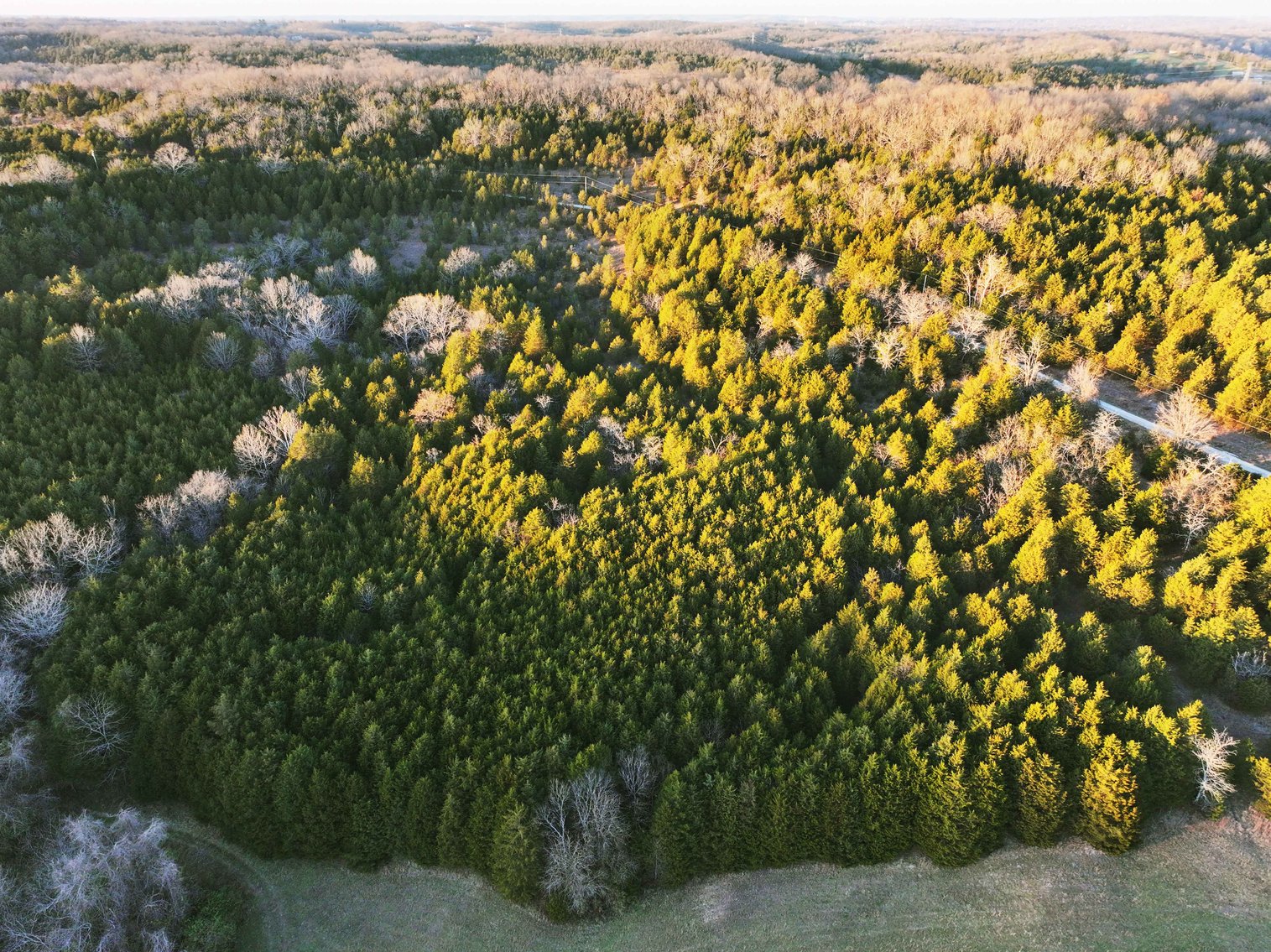 Image for 30.52 Acres, Tract 1 Plattin Rd Festus, MO 63028, MLS#25048992