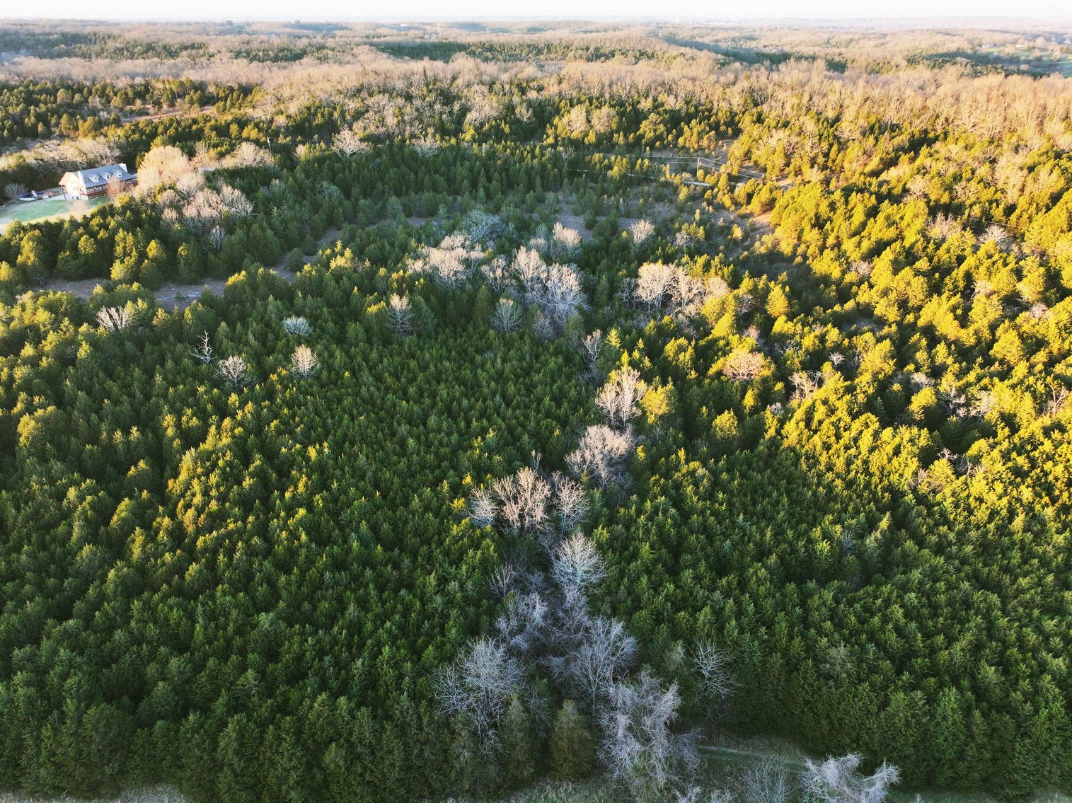 Image for 30.52 Acres, Tract 1 Plattin Rd Festus, MO 63028, MLS#25048992