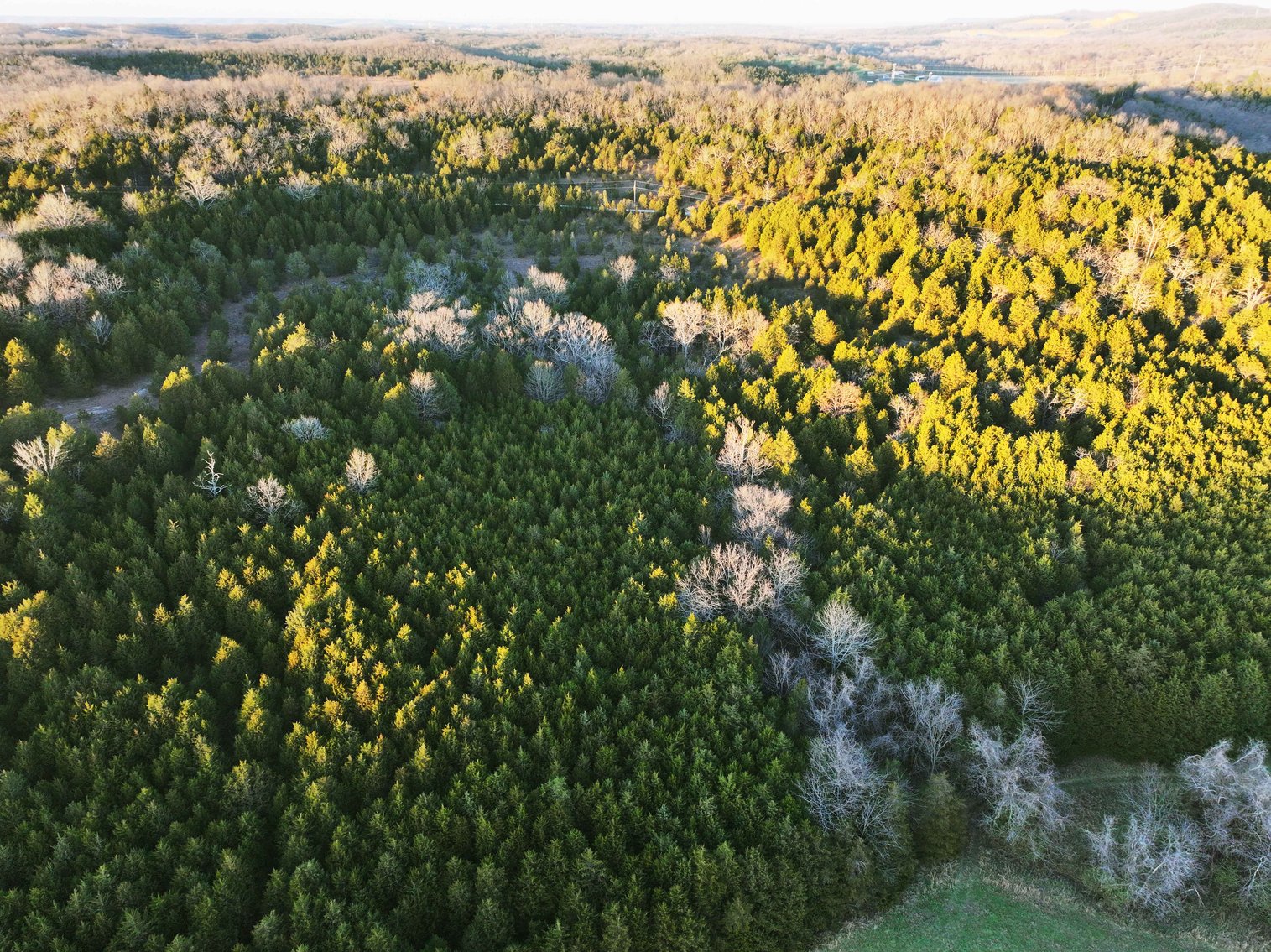 Image for 30.52 Acres, Tract 1 Plattin Rd Festus, MO 63028, MLS#25048992