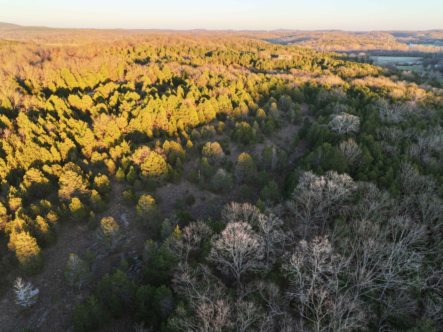 Image for 30.52 Acres, Tract 1 Plattin Rd Festus, MO 63028, MLS#25048992