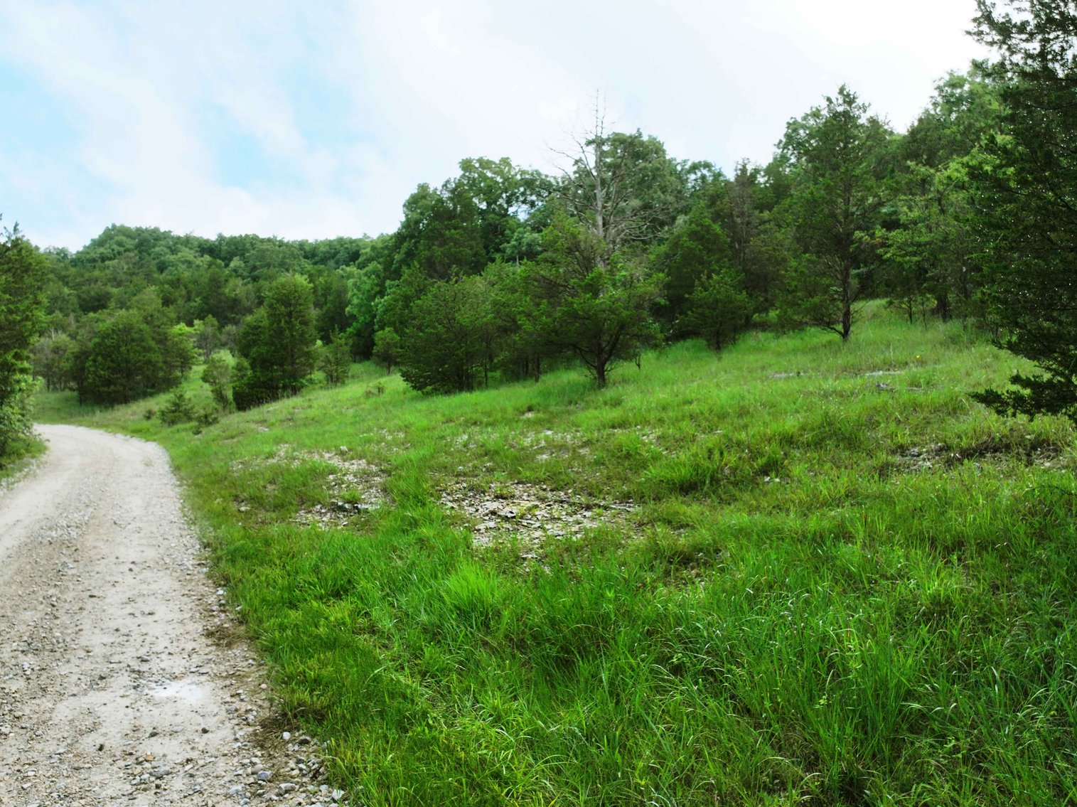 Image for 26.71 Acres, Tract 2 Plattin Rd Festus, MO 63028, MLS#25048995