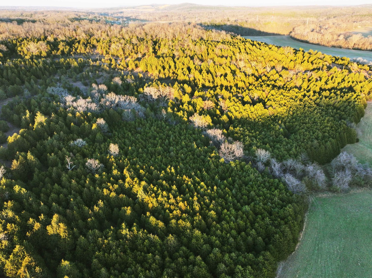 Image for 26.71 Acres, Tract 2 Plattin Rd Festus, MO 63028, MLS#25048995