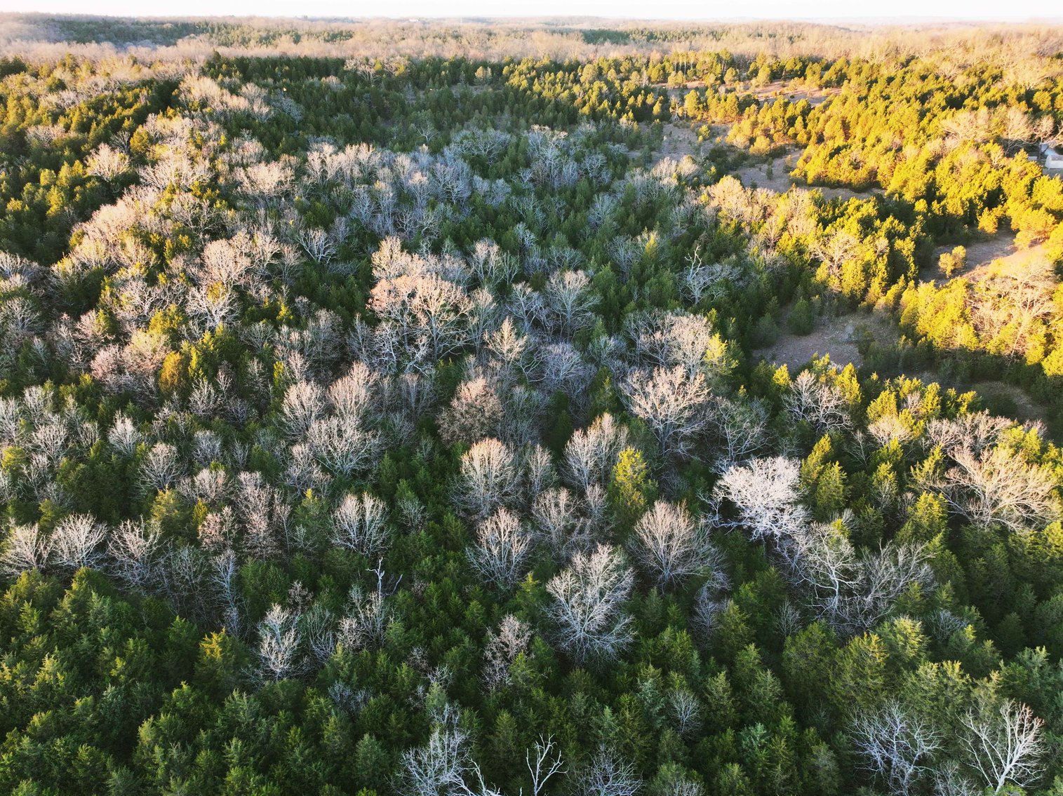 Image for 26.71 Acres, Tract 2 Plattin Rd Festus, MO 63028, MLS#25048995