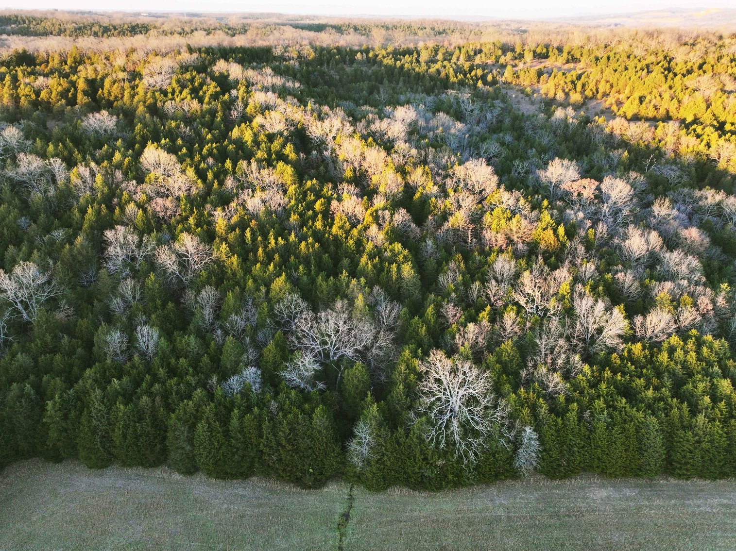 Image for 26.71 Acres, Tract 2 Plattin Rd Festus, MO 63028, MLS#25048995