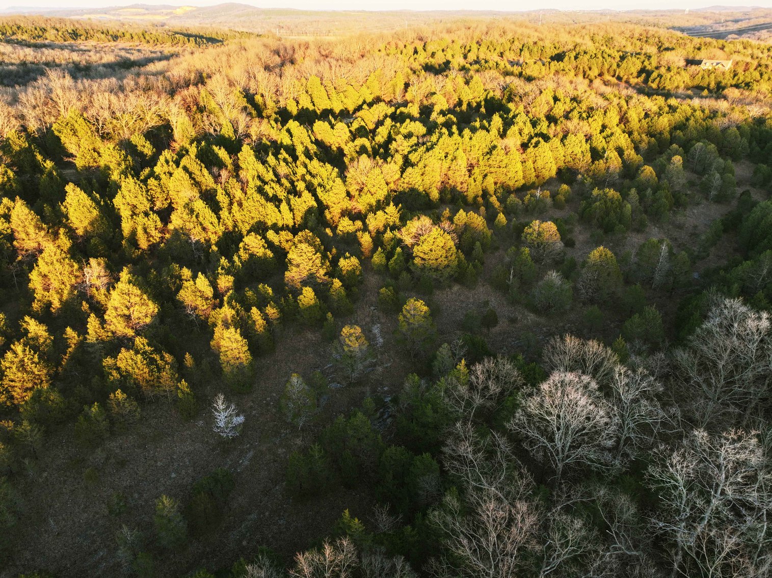 Image for 26.71 Acres, Tract 2 Plattin Rd Festus, MO 63028, MLS#25048995