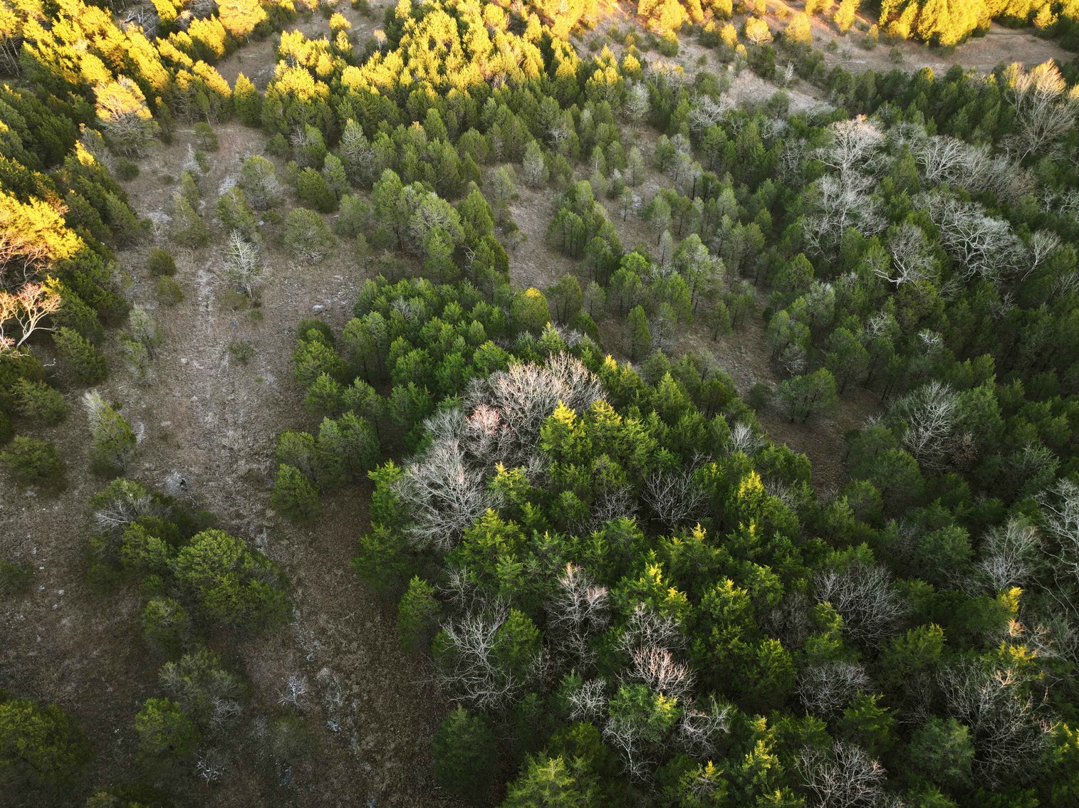 Image for 26.71 Acres, Tract 2 Plattin Rd Festus, MO 63028, MLS#25048995