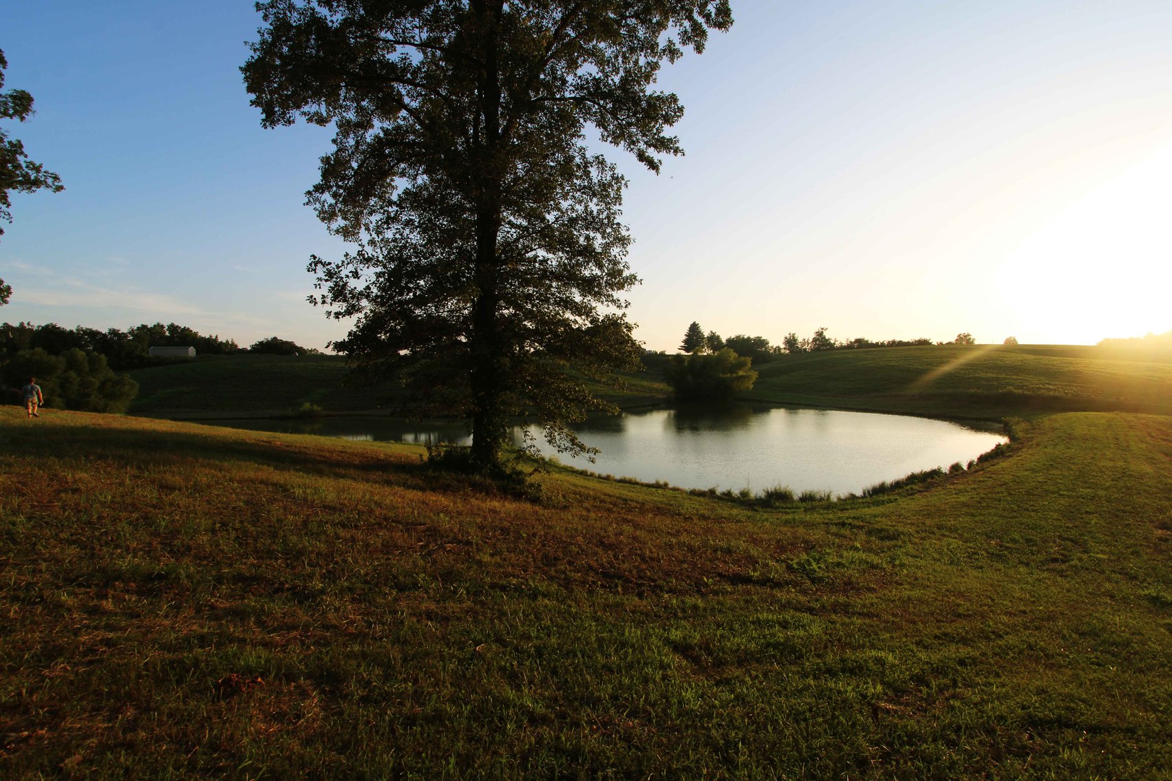 Image for 44.91 Acres +/-, Off of PCR 316, Perryville, MO 63775, MLS # 25050119