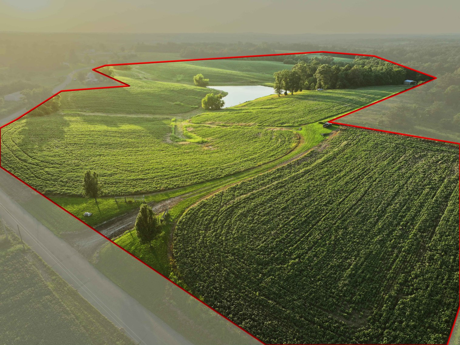 Image for 44.91 Acres +/-, Off of PCR 316, Perryville, MO 63775, MLS # 25050119