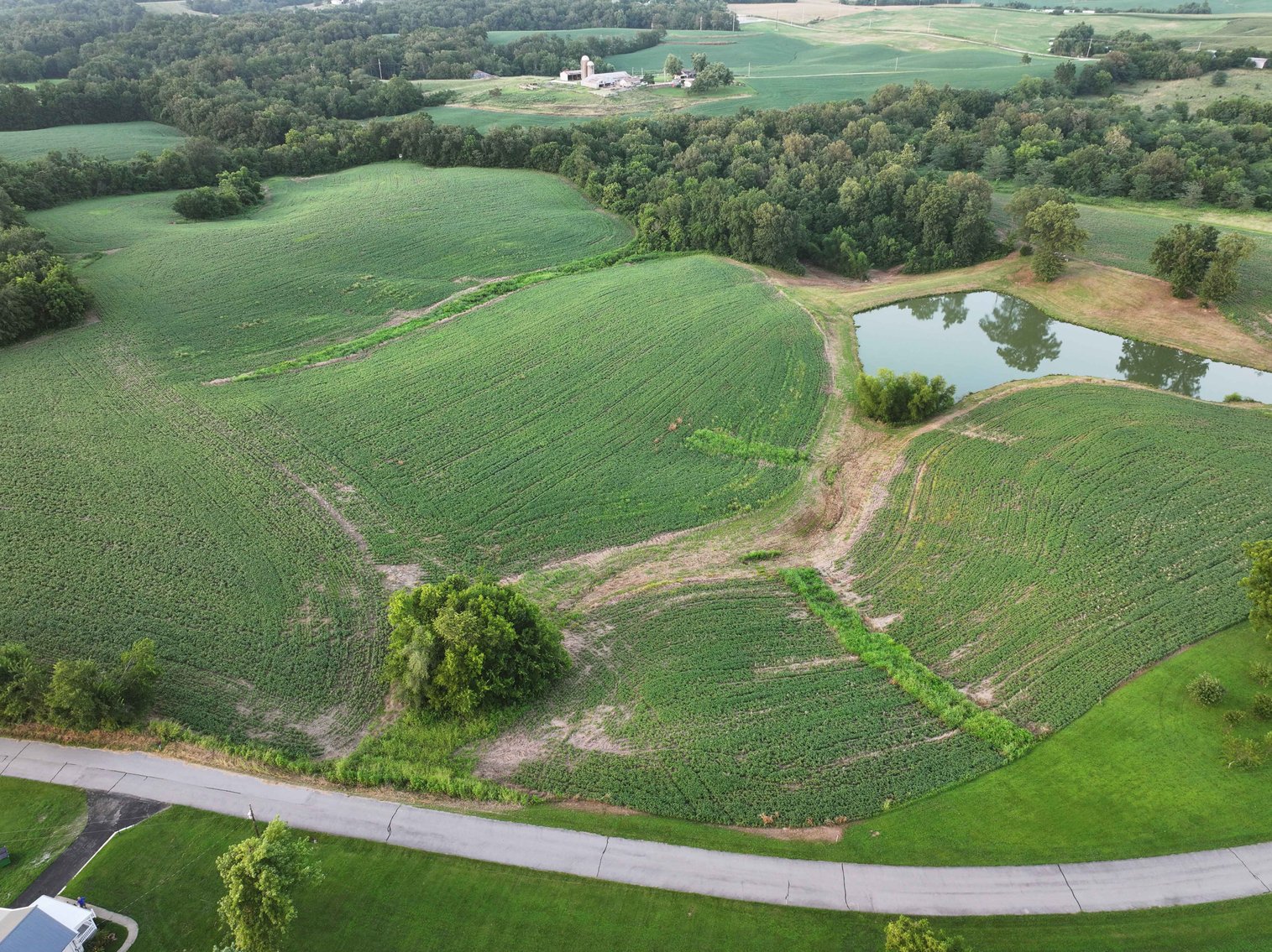 Image for 44.91 Acres +/-, Off of PCR 316, Perryville, MO 63775, MLS # 25050119