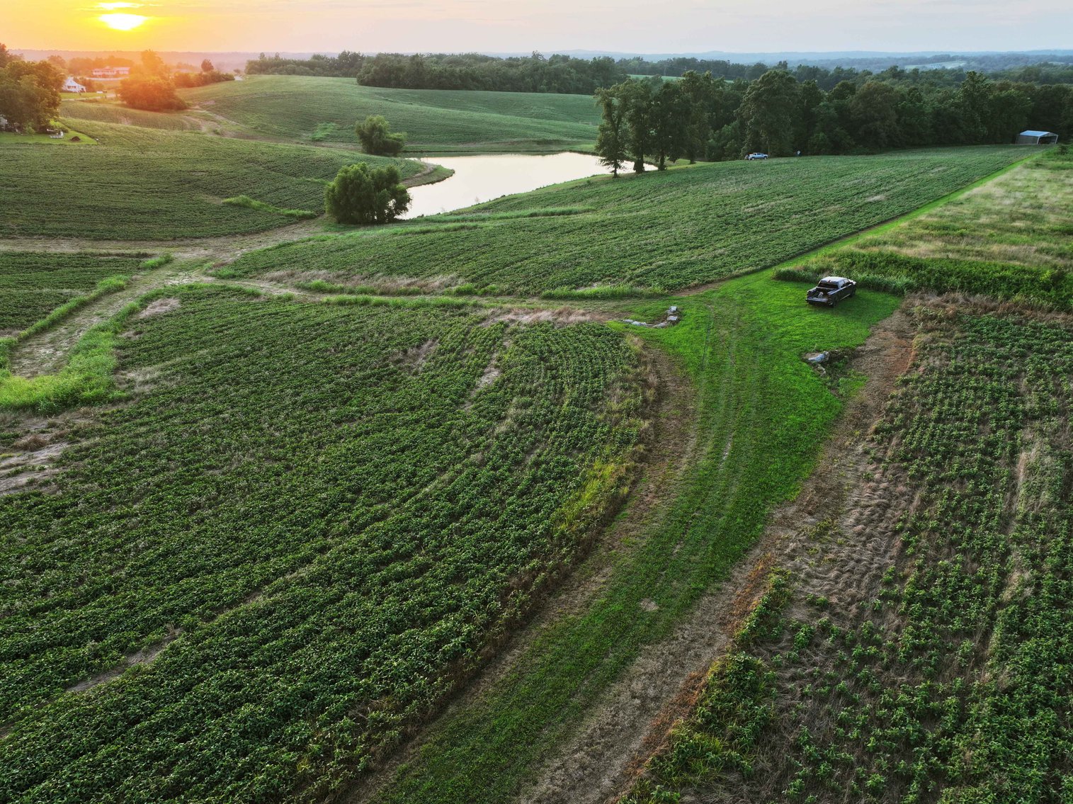 Image for 44.91 Acres +/-, Off of PCR 316, Perryville, MO 63775, MLS # 25050119