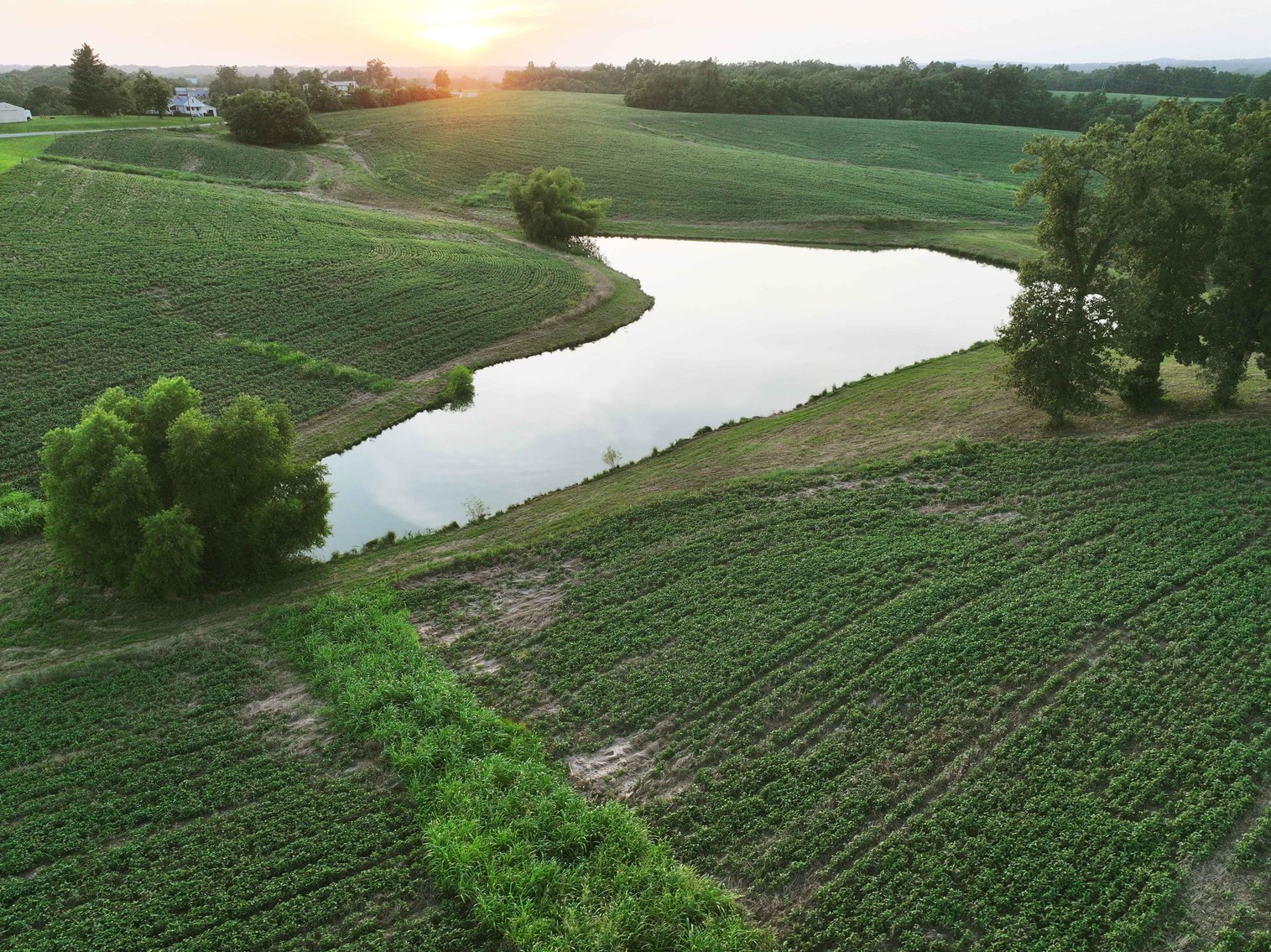 Image for 44.91 Acres +/-, Off of PCR 316, Perryville, MO 63775, MLS # 25050119