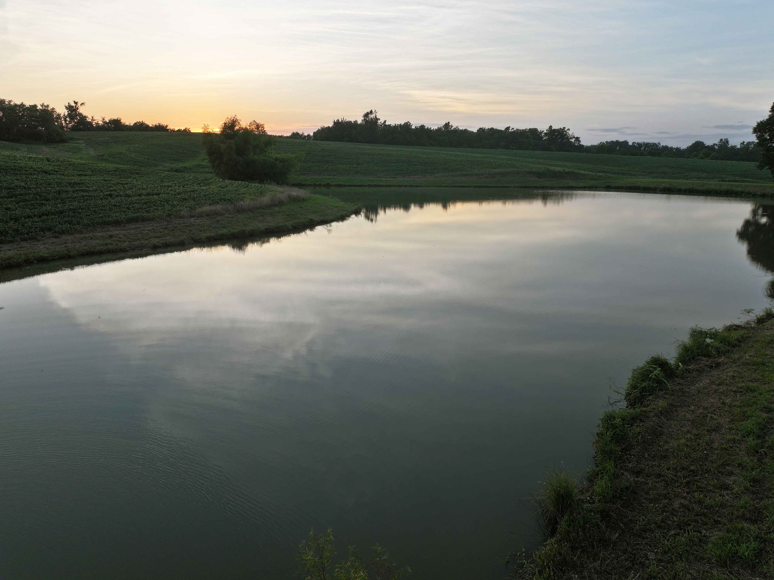 Image for 44.91 Acres +/-, Off of PCR 316, Perryville, MO 63775, MLS # 25050119