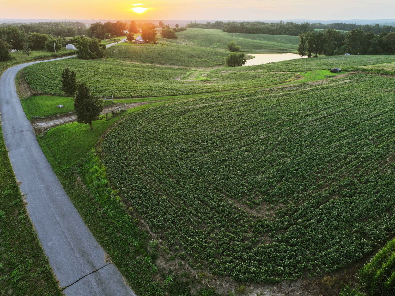 Image for 44.91 Acres +/-, Off of PCR 316, Perryville, MO 63775, MLS # 25050119