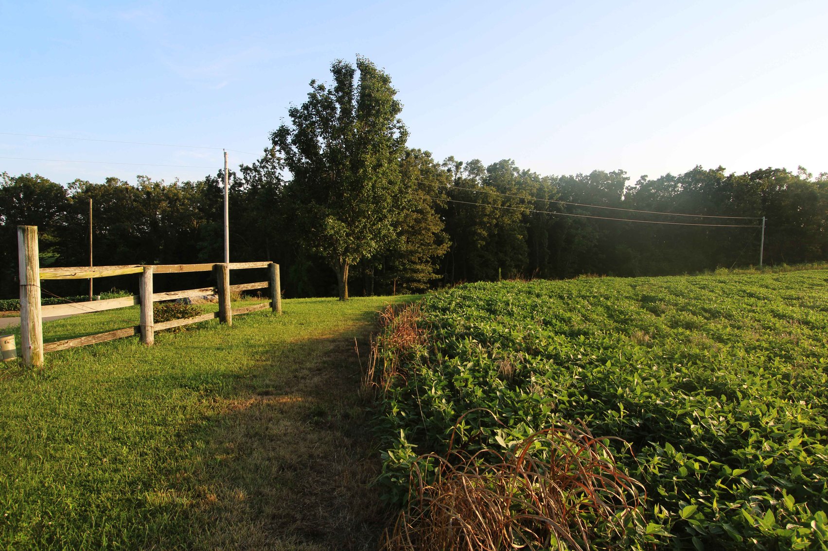 Image for 44.91 Acres +/-, Off of PCR 316, Perryville, MO 63775, MLS # 25050119